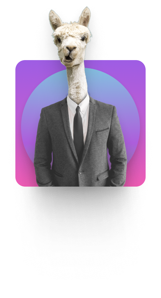 llama suit