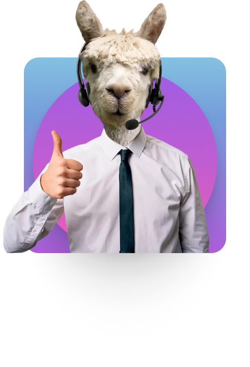 llama suit